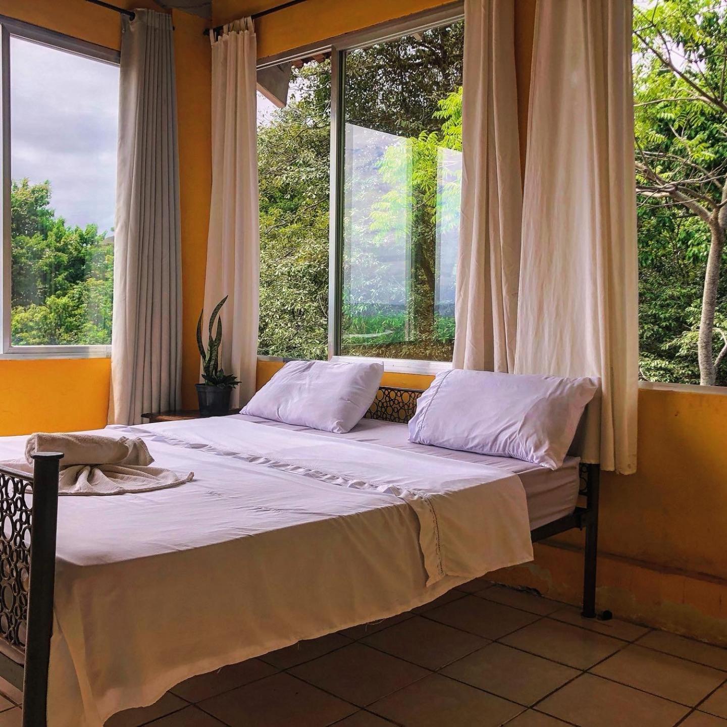 Banana Leaf Eco Hostel 里约热内卢 外观 照片